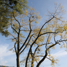 Herbst am See _6__jpg-1317882889