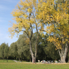 Herbst am See _3__jpg-1317882821