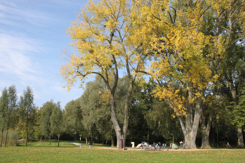 Herbst am See _3__jpg-1317882821