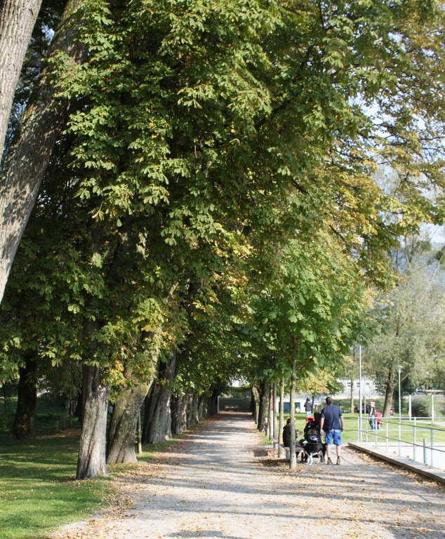 Herbst am See _7__jpg-1317882908