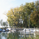 Herbst am See _9__jpg-1317882945