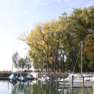 Herbst am See _8__jpg-1317882926