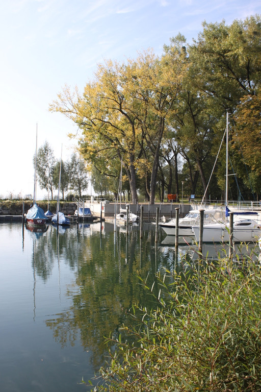 Herbst am See _8__jpg-1317882926