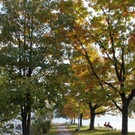Herbst am See _10__jpg-1317882962