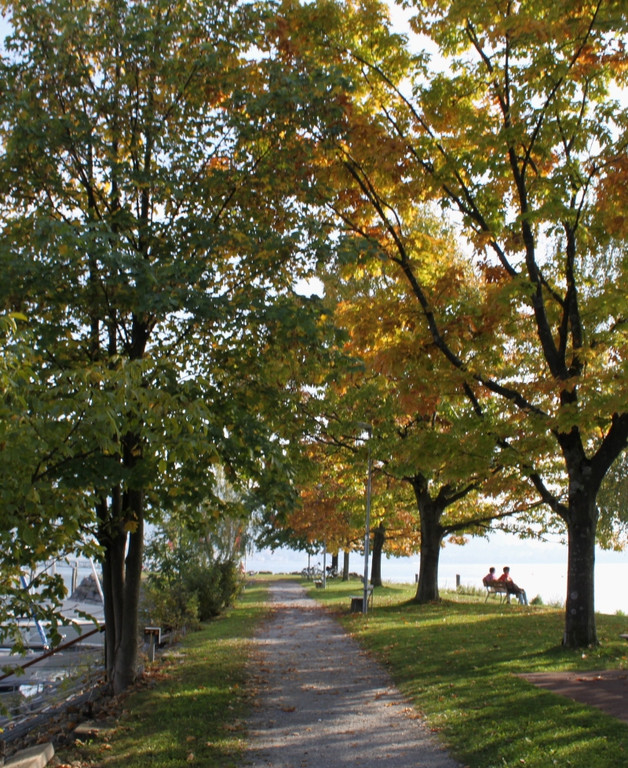 Herbst am See _10__jpg-1317882962