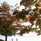 Herbst am See _11__jpg-1317882984