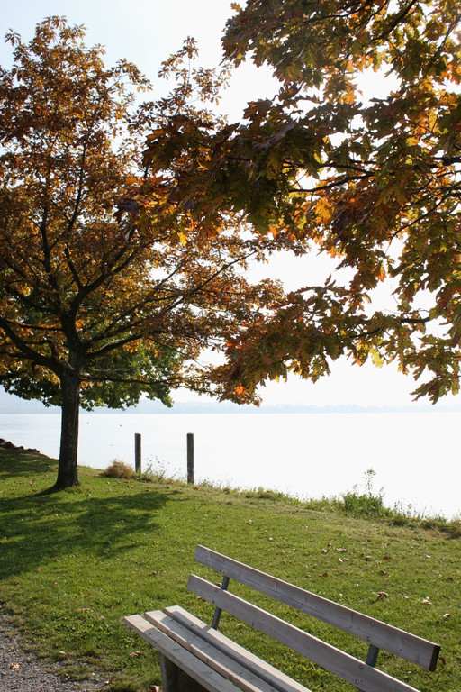 Herbst am See _11__jpg-1317882984