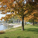 Herbst am See _12__jpg-1317883007