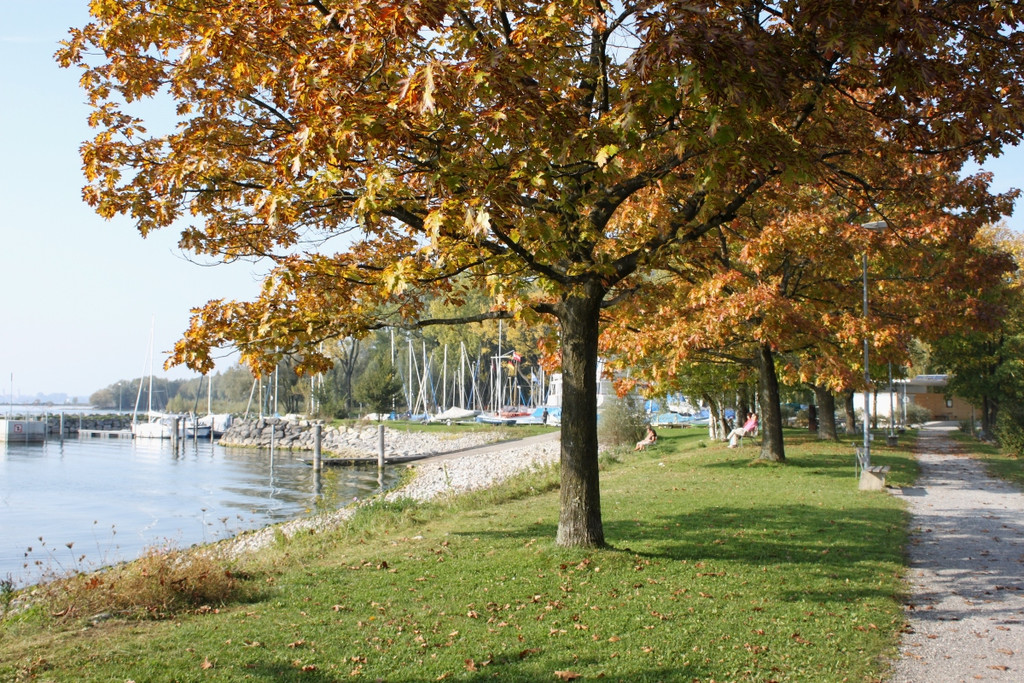Herbst am See _12__jpg-1317883007