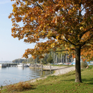 Herbst am See _13__jpg-1317883027