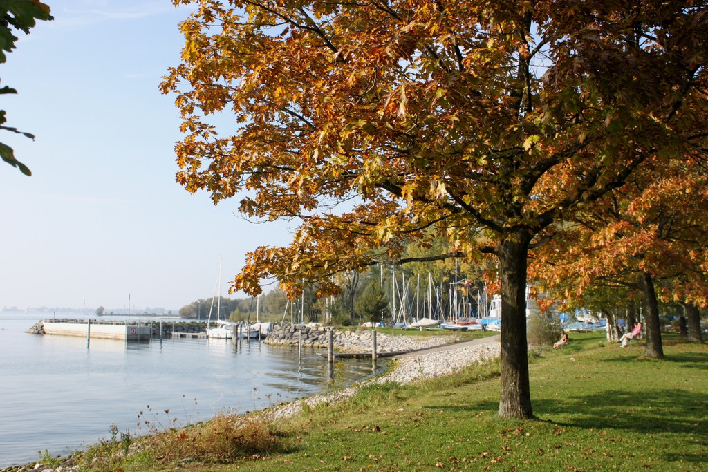 Herbst am See _13__jpg-1317883027