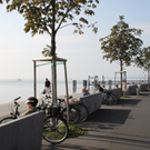 Herbst am See _31__jpg-1317883287