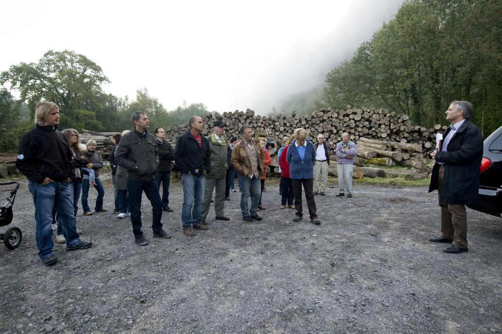 DSC_1060_jpg-1317896639