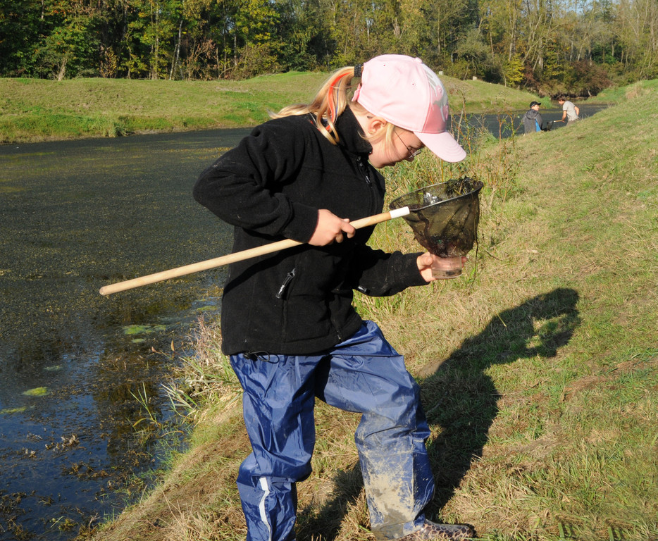 Flusswoche H__chst 06_10_2011 18_jpg-1317991167