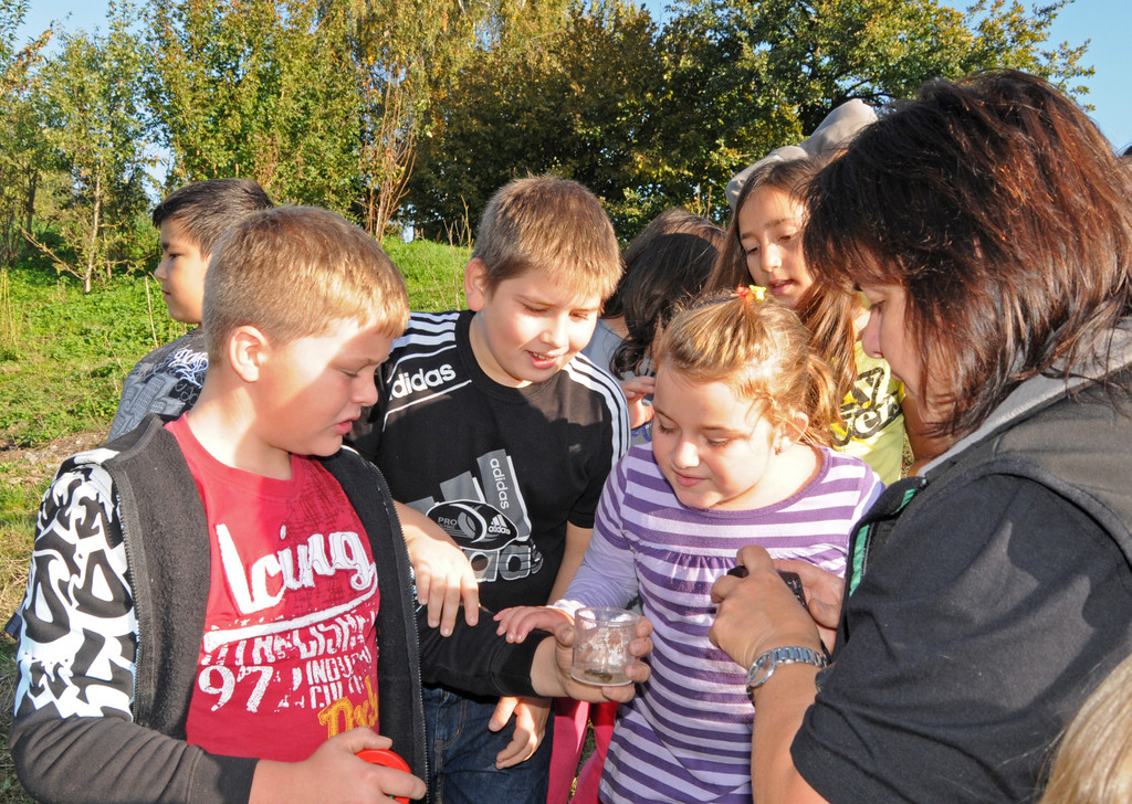 Flusswoche H__chst 06_10_2011 34_jpg-1317991298