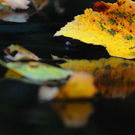 ABD0024-20111007.jpg