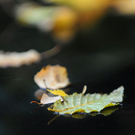 ABD0025-20111007.jpg