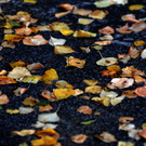 ABD0026-20111007.jpg