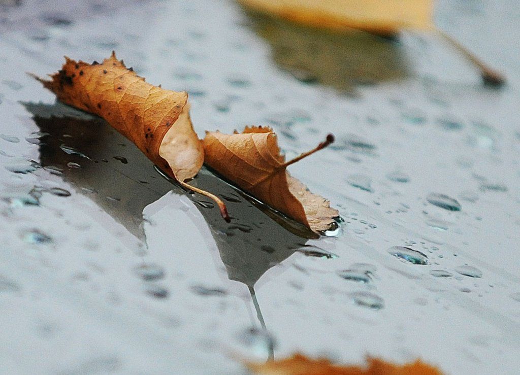 ABD0028-20111007.jpg