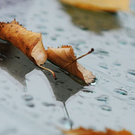 ABD0028-20111007.jpg