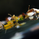 ABD0029-20111007.jpg