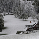 ABD0067-20111007.jpg