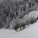 ABD0068-20111007.jpg
