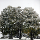 ABD0069-20111007.jpg