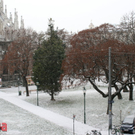 Schneegestöber in Wien