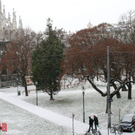 IMG_9693.JPG