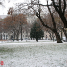 IMG_9696.JPG