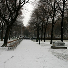 IMG_9699.JPG