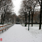 IMG_9700.JPG
