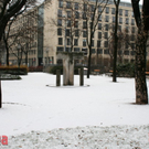 IMG_9701.JPG