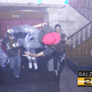 cafdd0f47182a8d442d53ed5702a941e_640.jpg