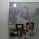 DSCN9768_JPG-1318078043