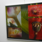 DSCN9781_JPG-1318078114