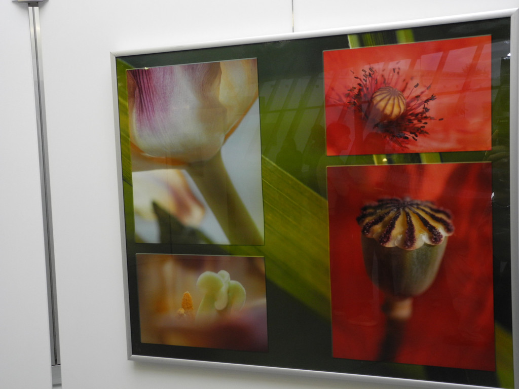 DSCN9781_JPG-1318078114