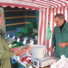 DSC07864.JPG