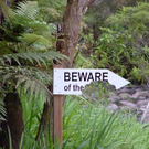 201010-w-funnysigns-beware_jpg-1318088102