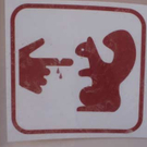 201010-w-funnysigns-squirrel_jpg-1318088103