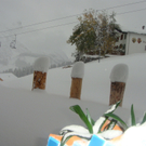 WinterOktobersonneSO11 005.jpg