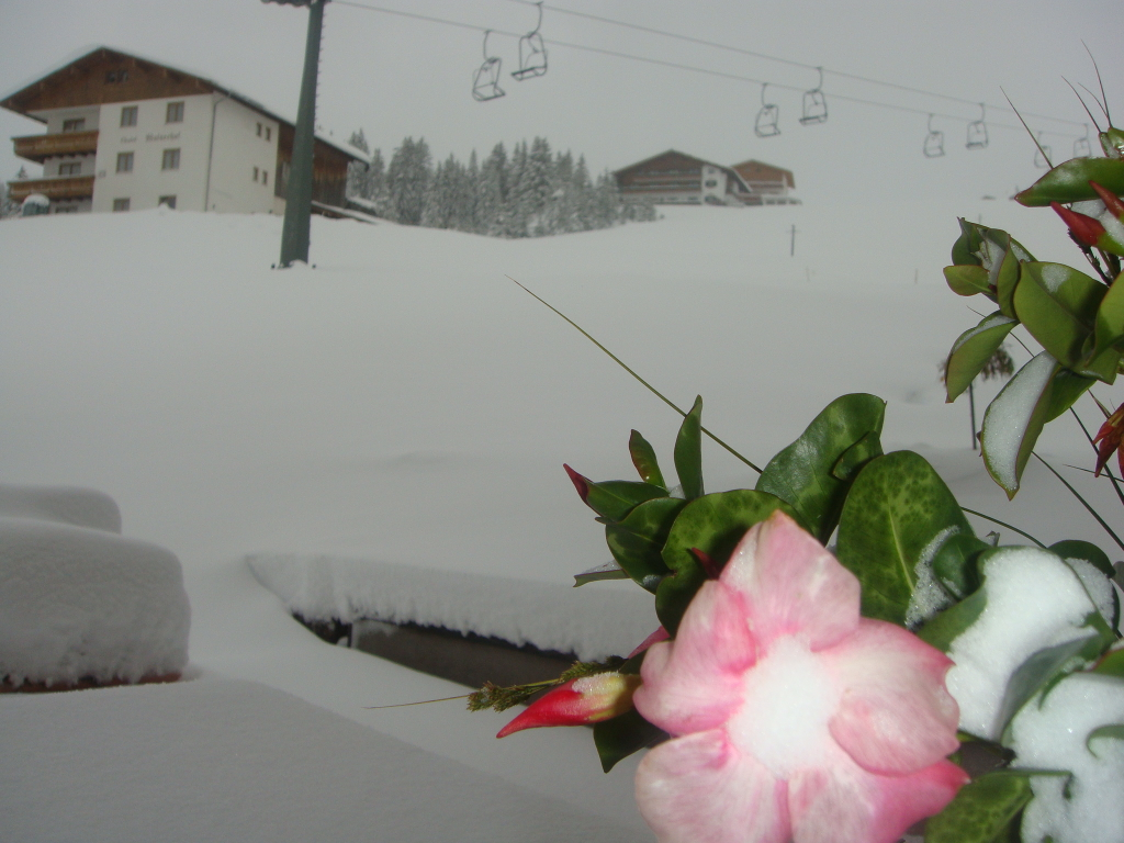 WinterOktobersonneSO11 007.jpg