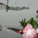 WinterOktobersonneSO11 007.jpg