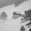 normal_081011schneesfaktivnews018.jpg