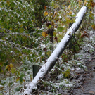 normal_08102011fmt_schnee_ex_07.jpg