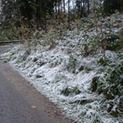 normal_08102011fmt_schnee_ex_10.jpg