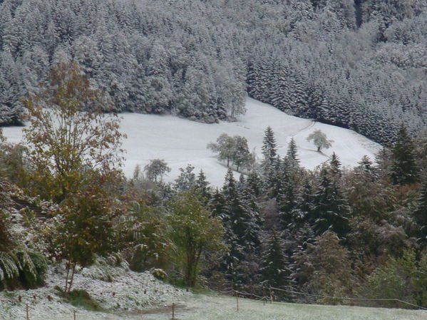 normal_08102011fmt_schnee_ex_23.jpg