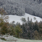 normal_08102011fmt_schnee_ex_23.jpg