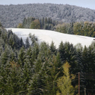normal_08102011fmt_schnee_ex_26.jpg